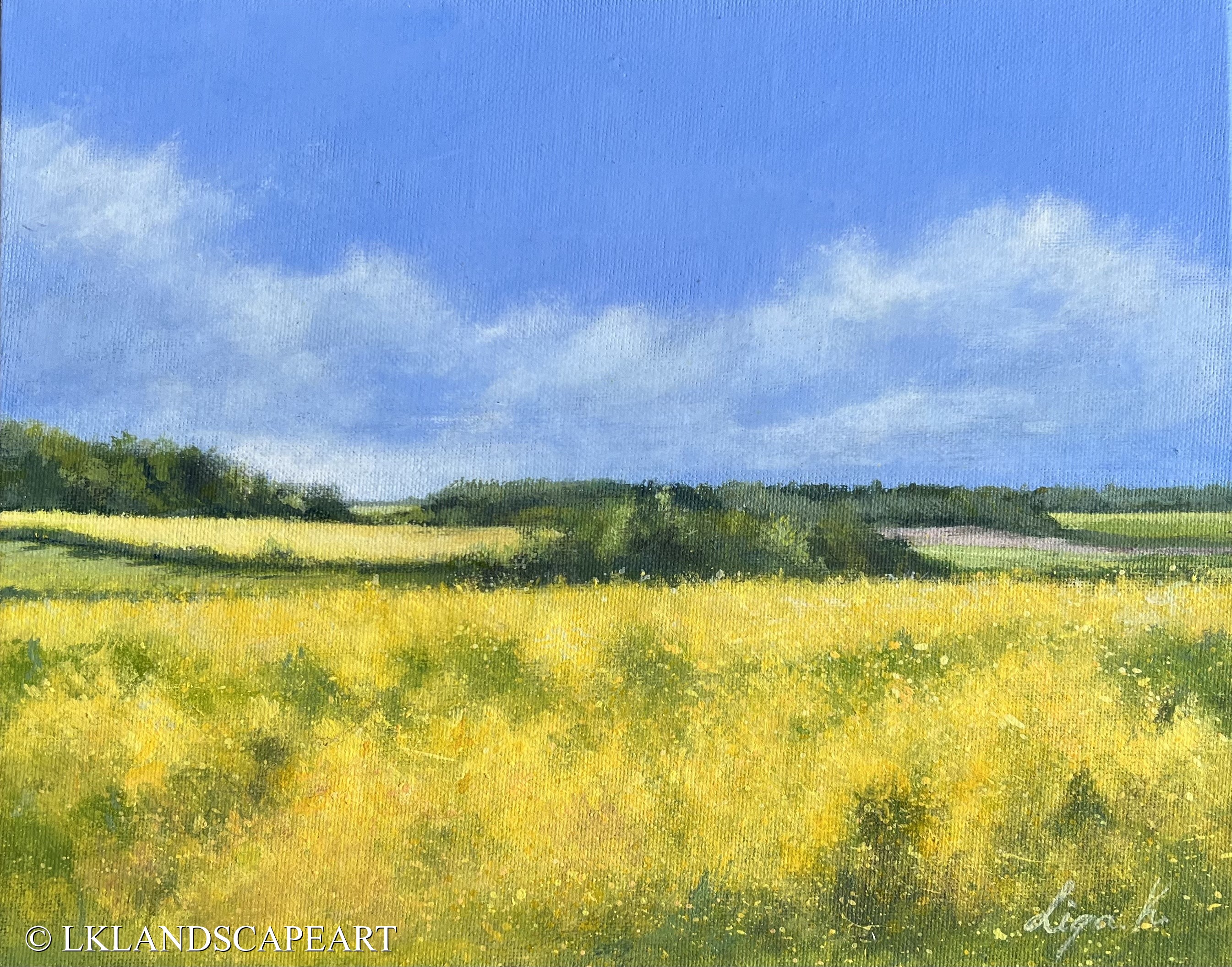 Fields Of Yellow