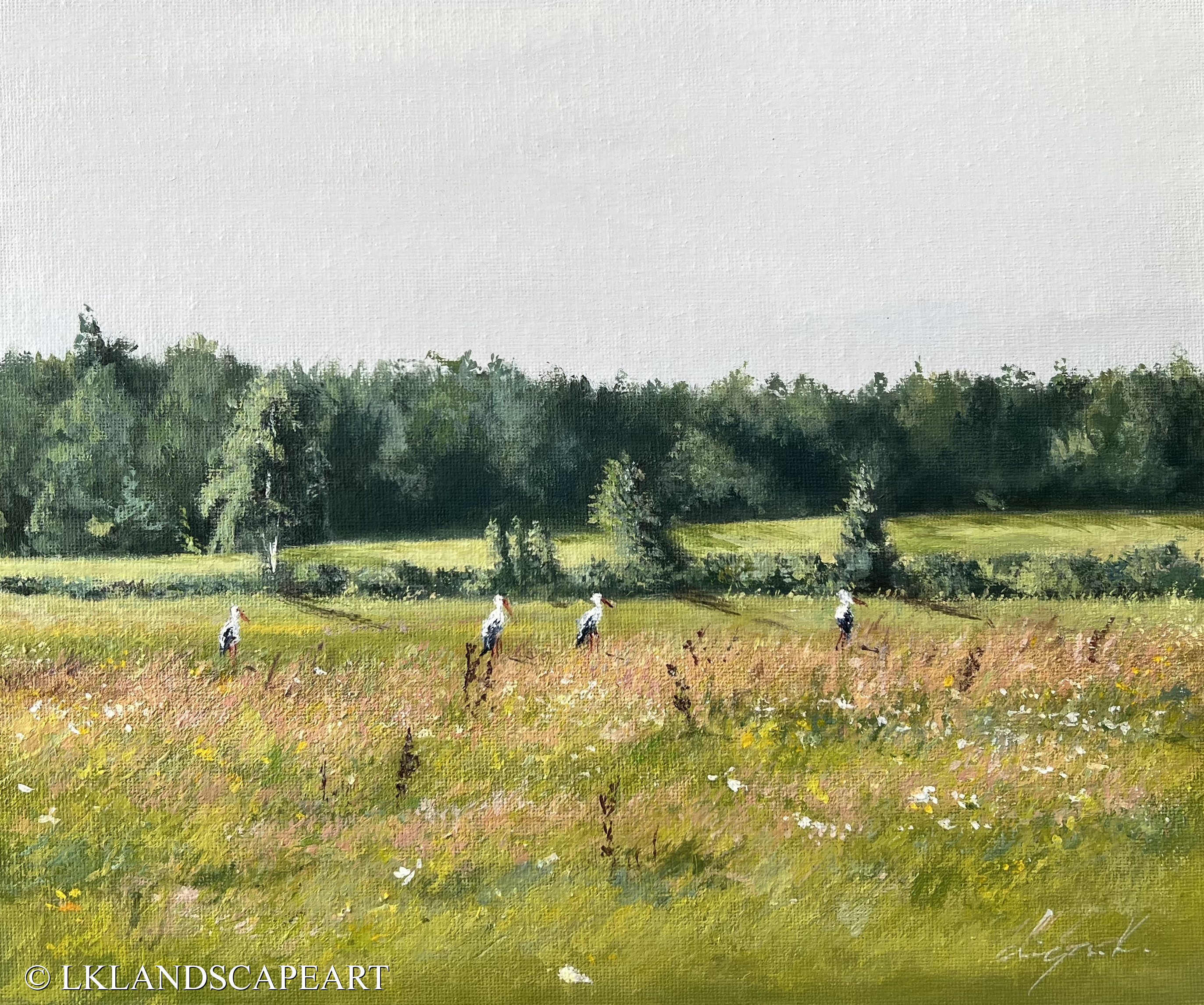 Where The Storks Gather